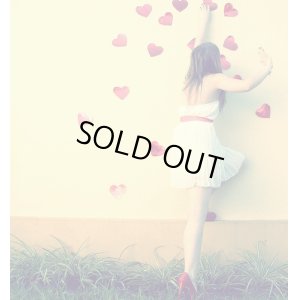 画像7: カートステップ改良1