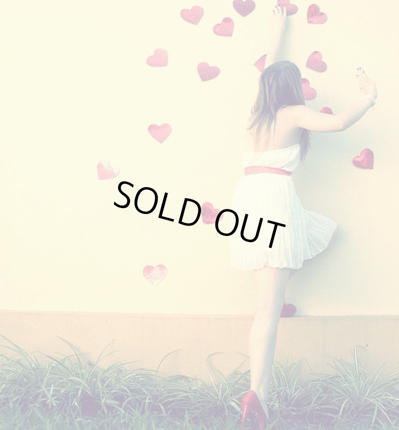 画像7: カートステップ改良1 (7)