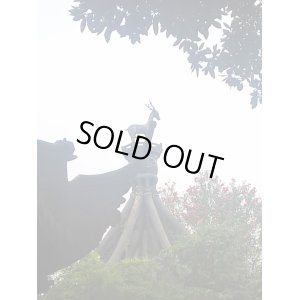 画像4: カートステップ改良1