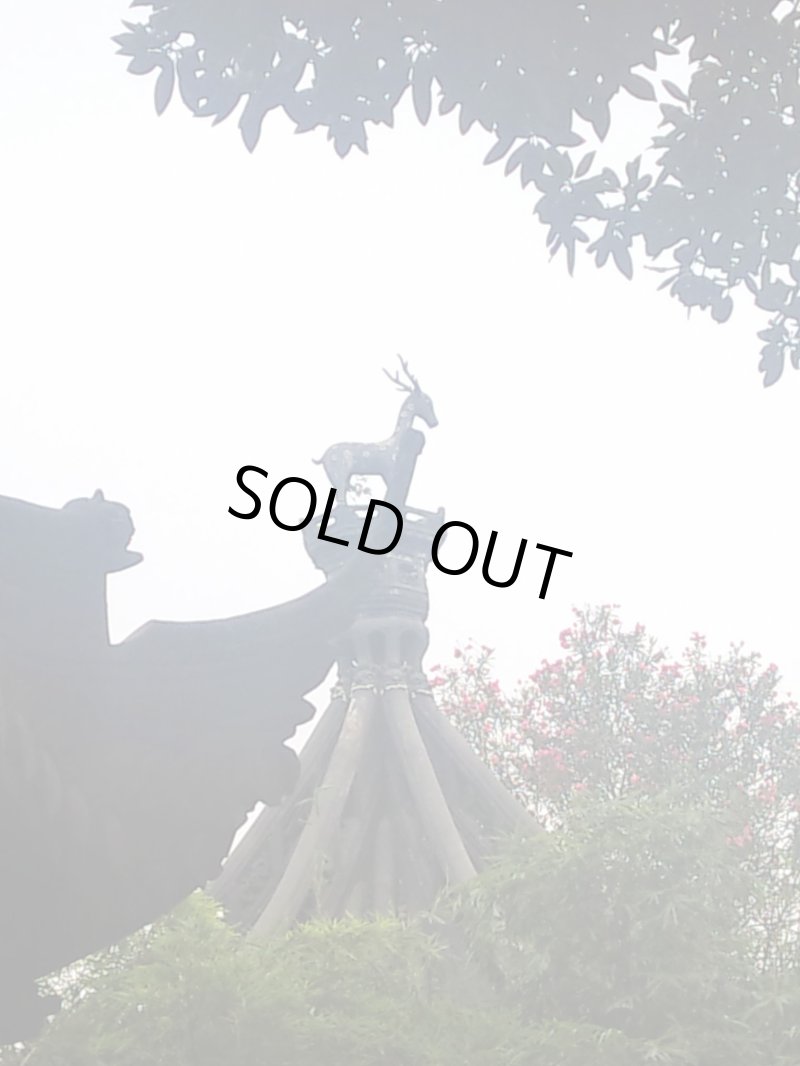 画像4: カートステップ改良1 (4)