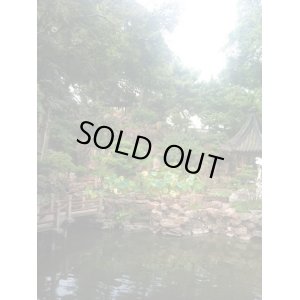 画像5: カートステップ改良1