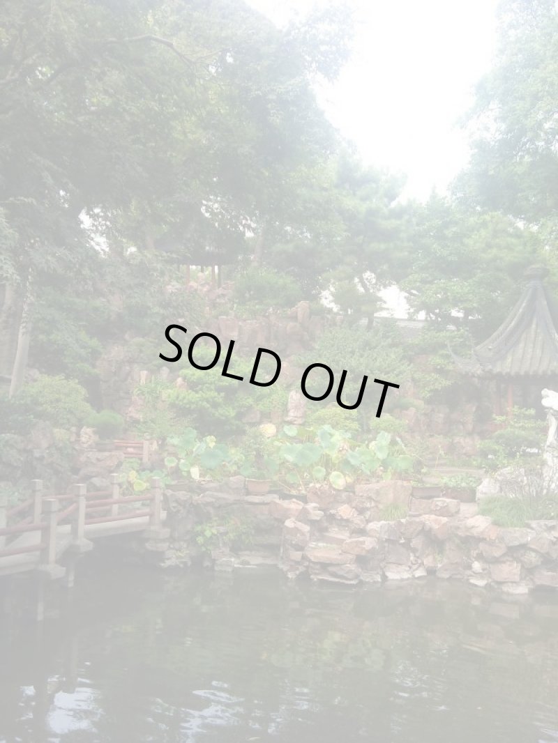 画像5: カートステップ改良1 (5)