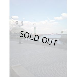 画像6: カートステップ改良1