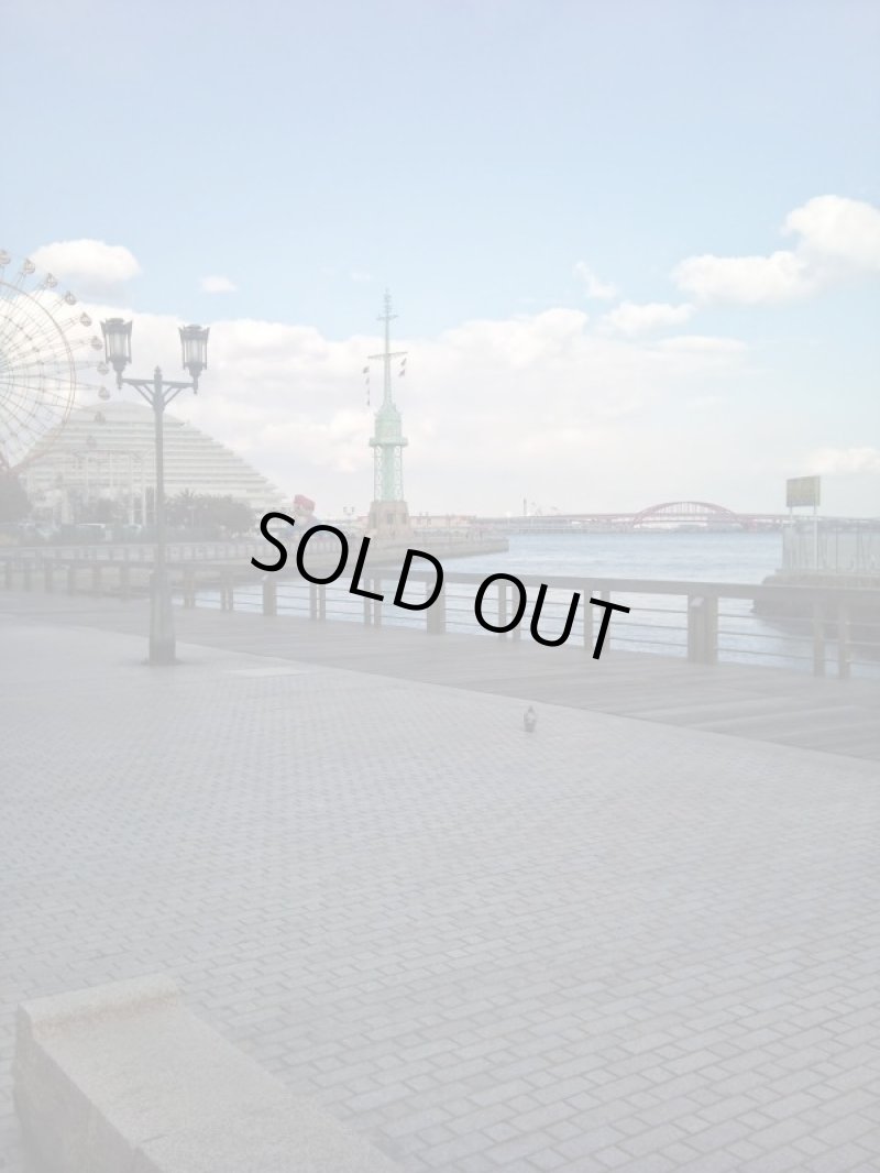 画像6: カートステップ改良1 (6)