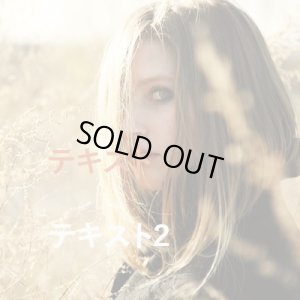 画像3: カートステップ改良1