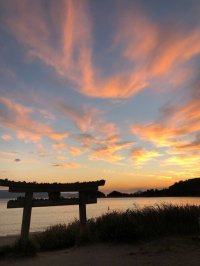 人気ランキング　テスト1