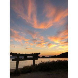 画像13: 関連商品がある12