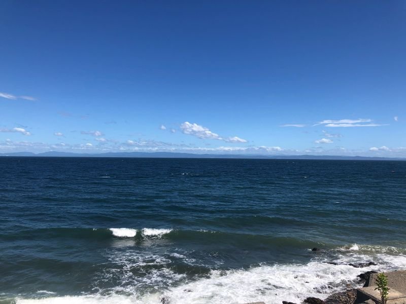 画像7: サムネイル10枚 (7)