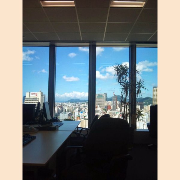 画像46: 関連商品がある12 (46)