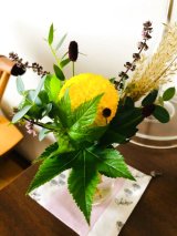 画像: バリエーションごとに画像を設定する4