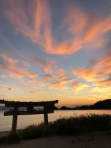 画像: バリエーション3種類　