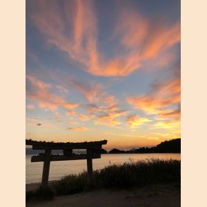 画像: バリエーション3種類　