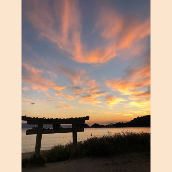 画像13: 関連商品がある12 (13)