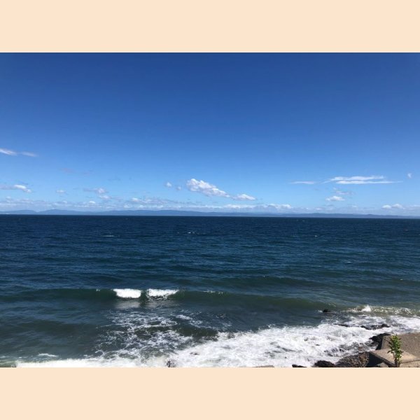 画像7: サムネイル10枚 (7)