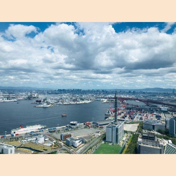 画像6: サムネイル10枚 (6)